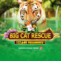Big Cat RescueMegaways game screenshot